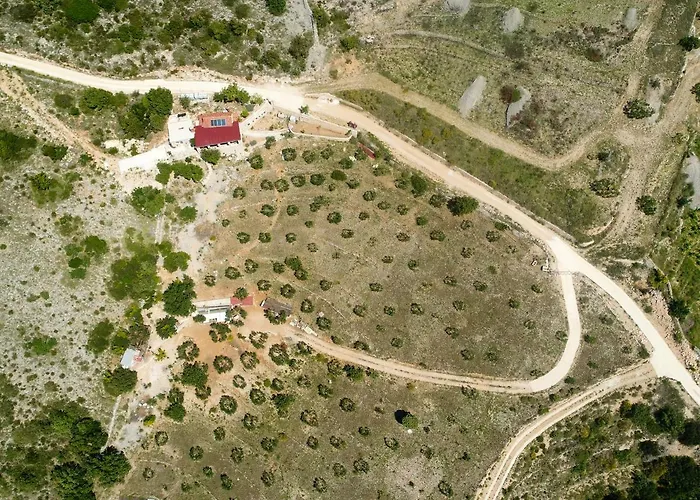 アパート Robinson Orpheus ボル